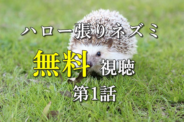 無料視聴1話