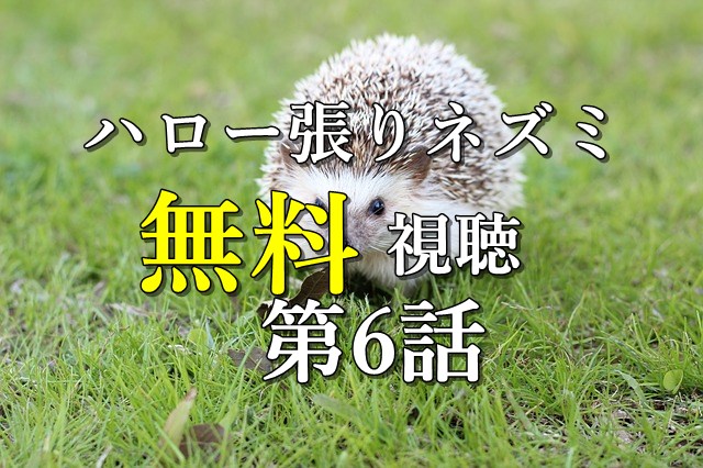 無料視聴6話