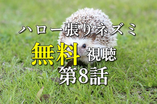無料視聴8話