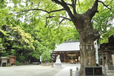 新田神社