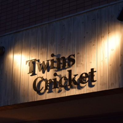 twins cricket
