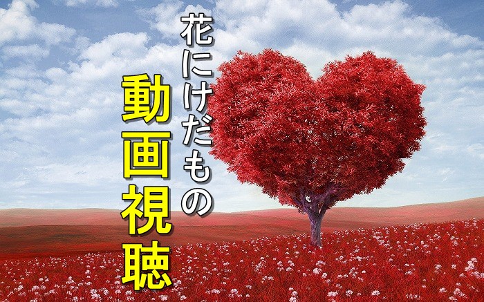 花にけだもの